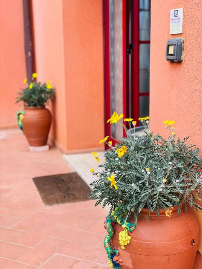 Regina Del Mare Holiday Apartments Tirrenia Exterior foto